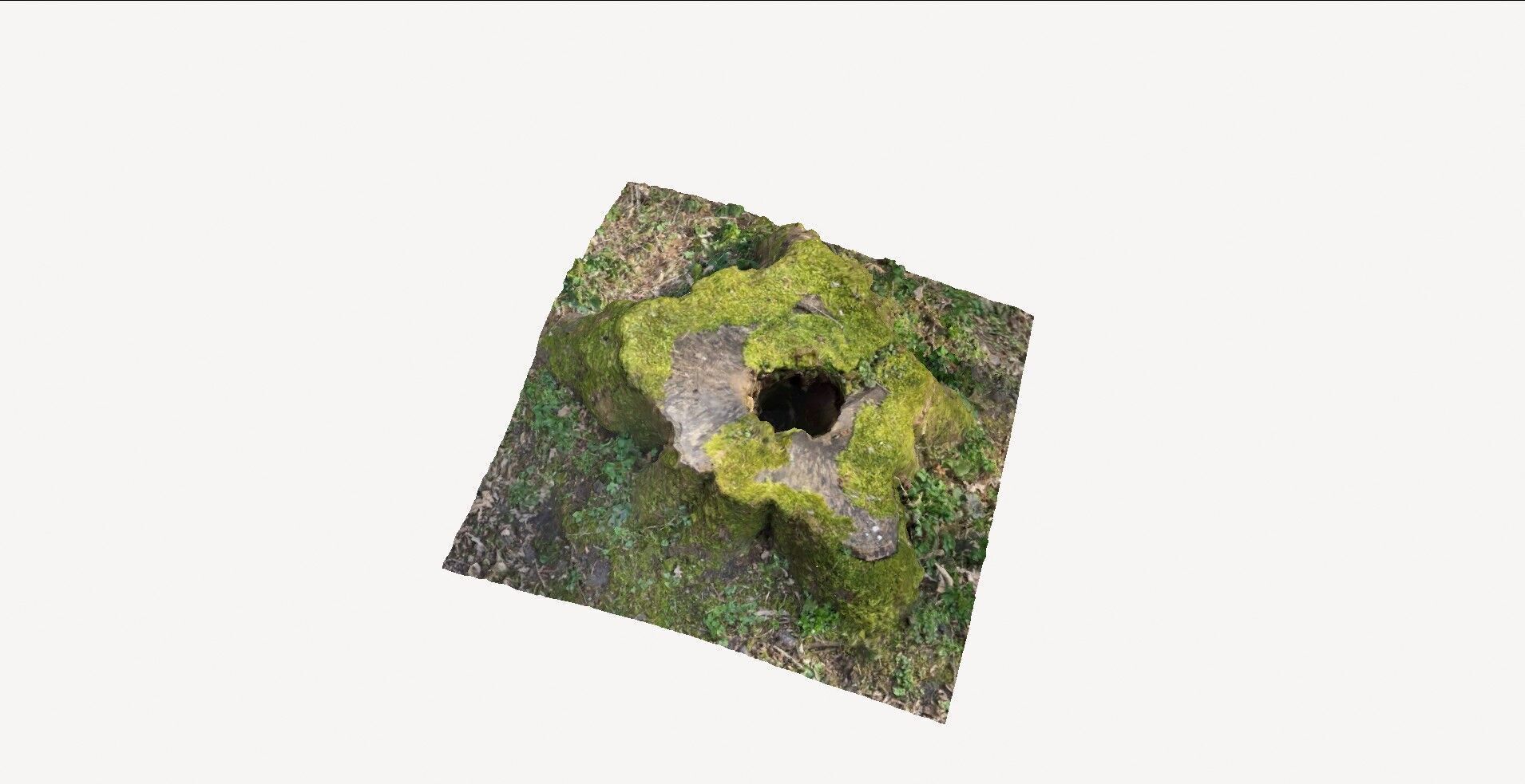 Tree Stump 1 3D model_3