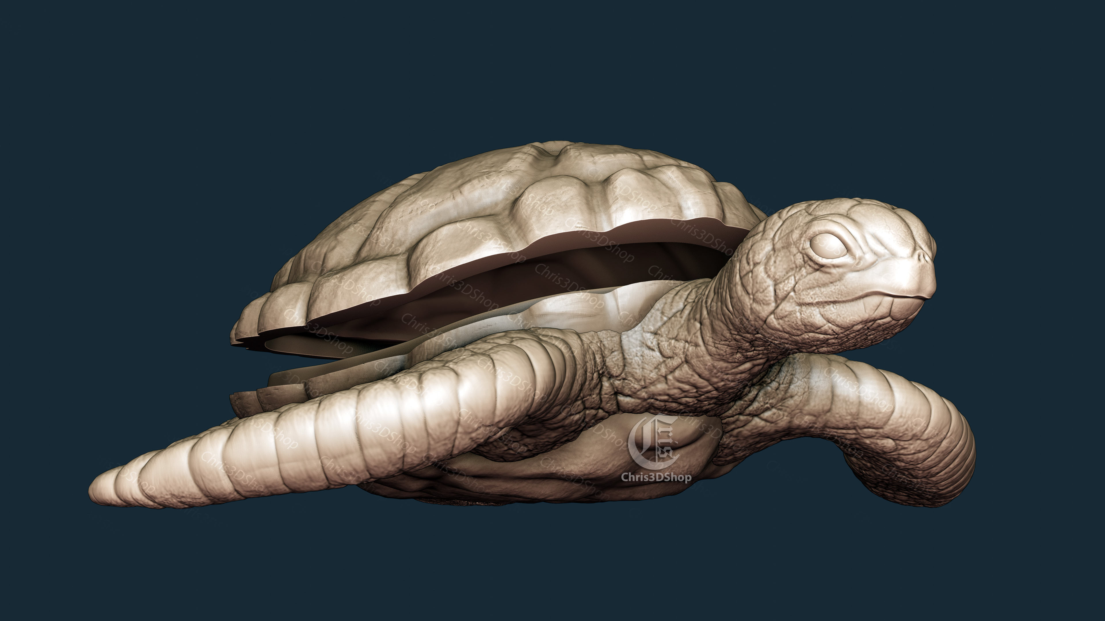 Turtle Shaped Jewelry Box V2 - Digital model for CNC 3D print model_3