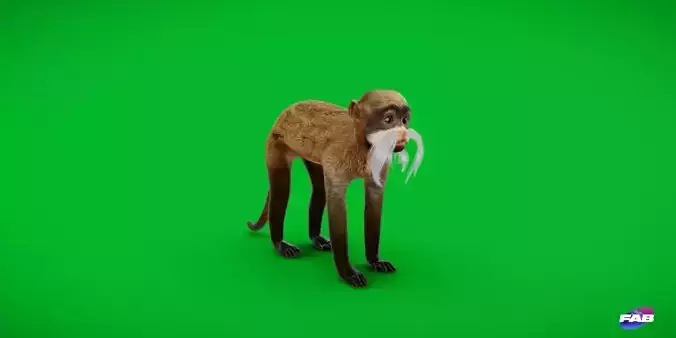 Emperor Tamarin Monkey Low-poly 3D model