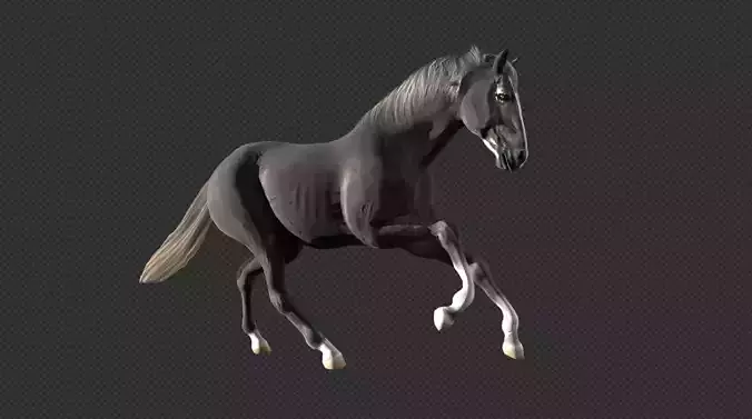 Animated Black Horse Low-poly 3D model