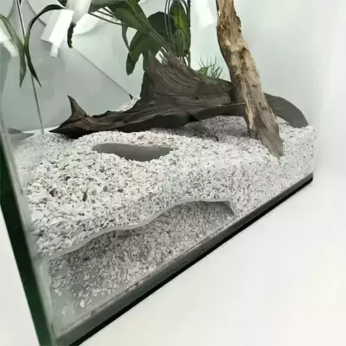 Tunel para peces 10 - acuario - pecera