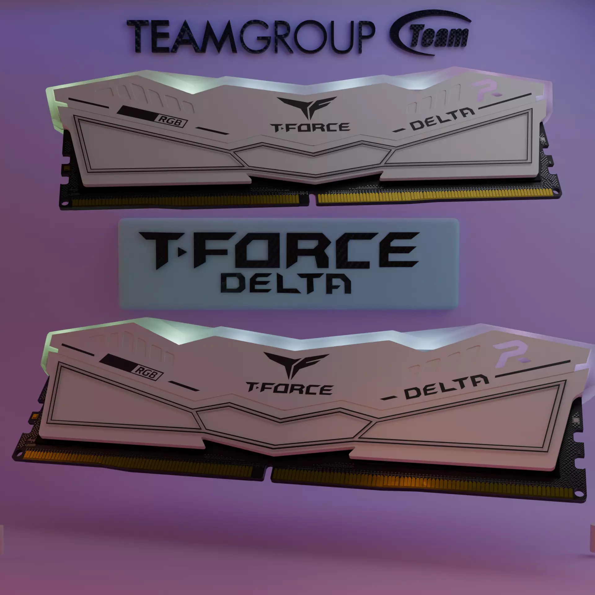 FREE TEAMGROUP T-FORCE DELTA DDR5 DDR4 RAM Free 3D model