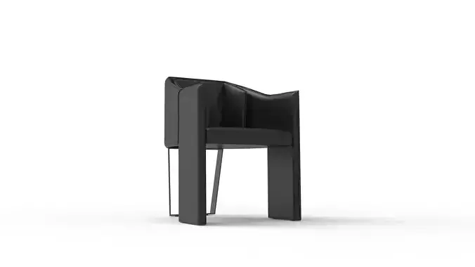 Modern Luxury Chair