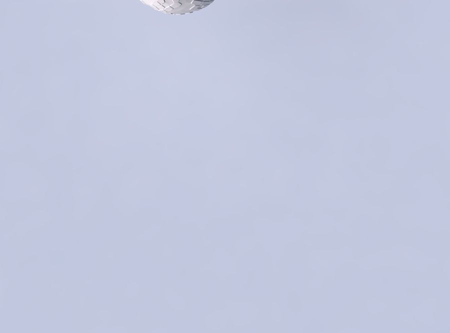 Bowl spheric squeezed wide with reptile skin with holes 3D print model_2