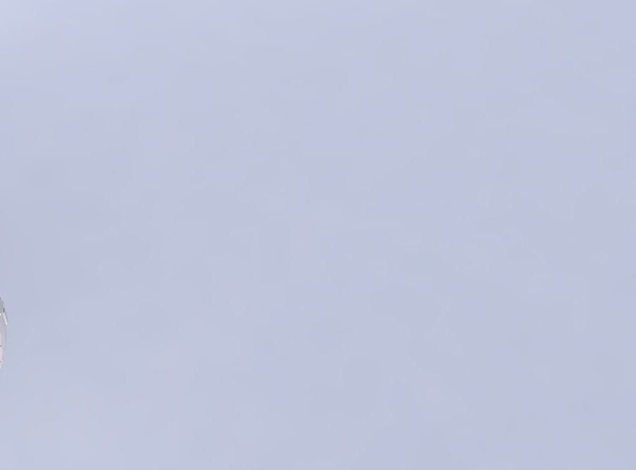 Bowl spheric squeezed wide with reptile skin with holes 3D print model_1