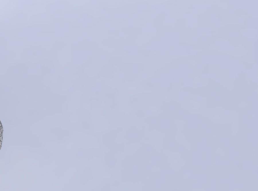 Bowl spheric squeezed wide with reptile skin with holes 3D print model_6