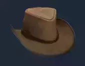 Cowboy Hat