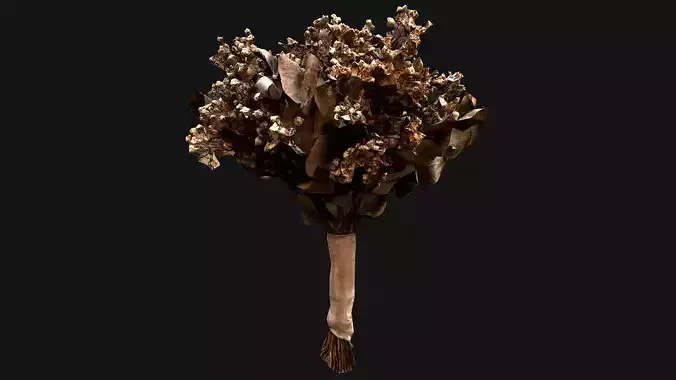 Wedding Bouquet Dried Flowers Bride