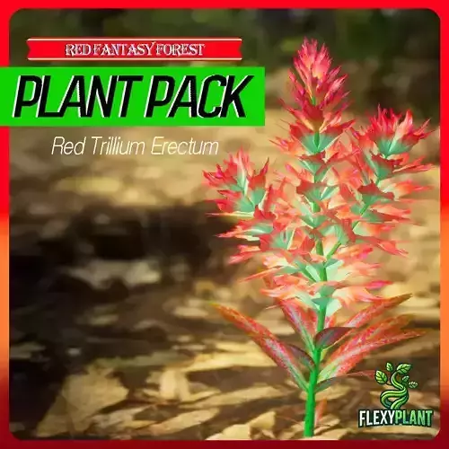 Red Fantasy Forest - 6 Red Trillium Erectum Flower Plant Low-poly 3D model
