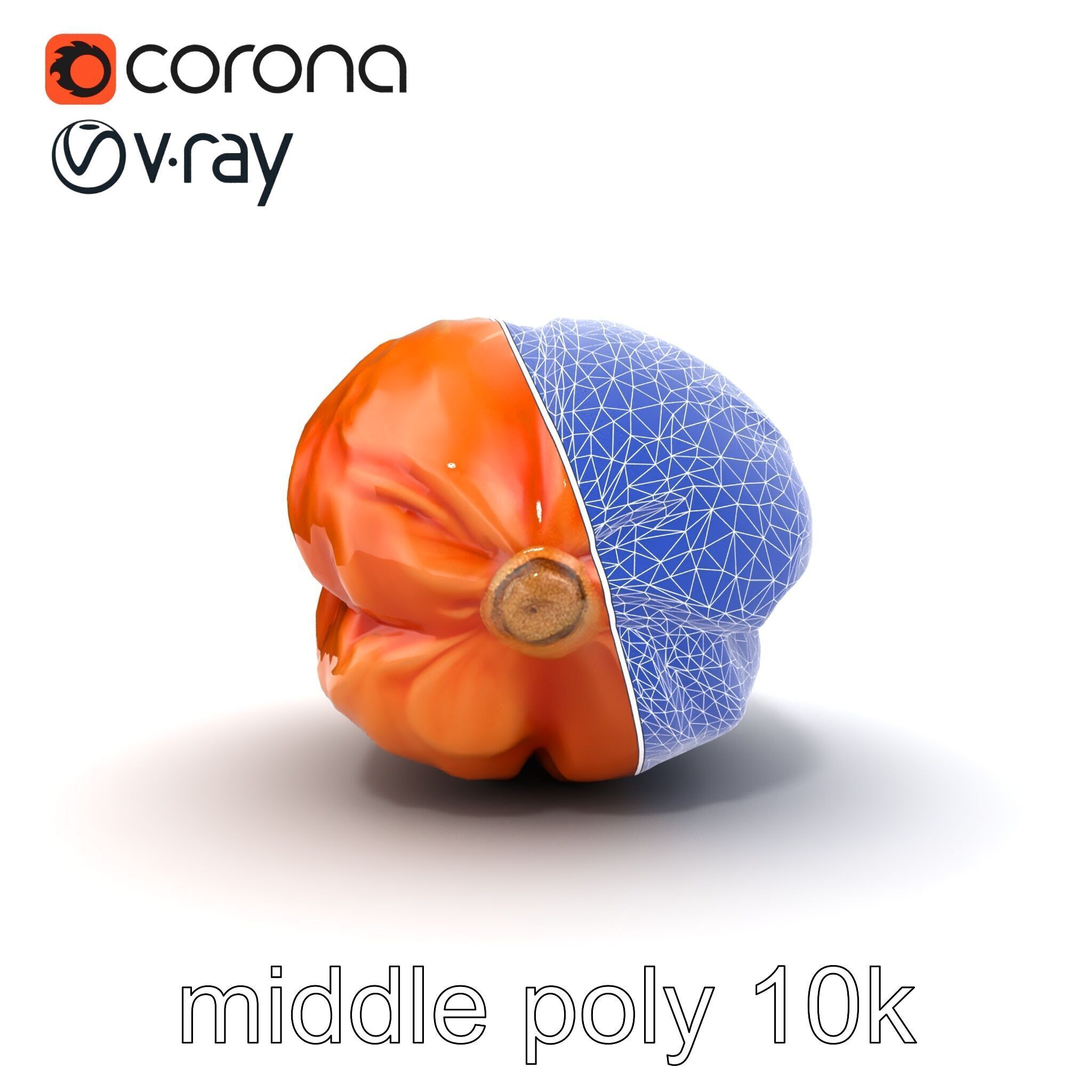 Dried Date Fruit Detailed Model Pack Low-poly 3D model_18