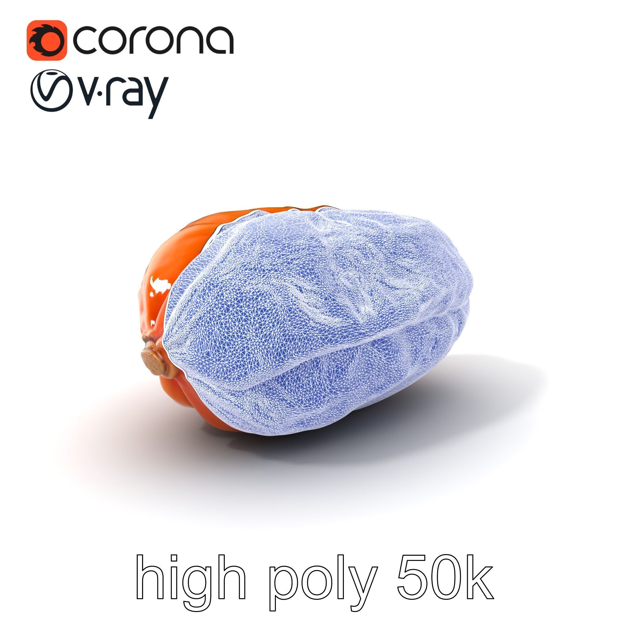 Dried Date Fruit Detailed Model Pack Low-poly 3D model_10