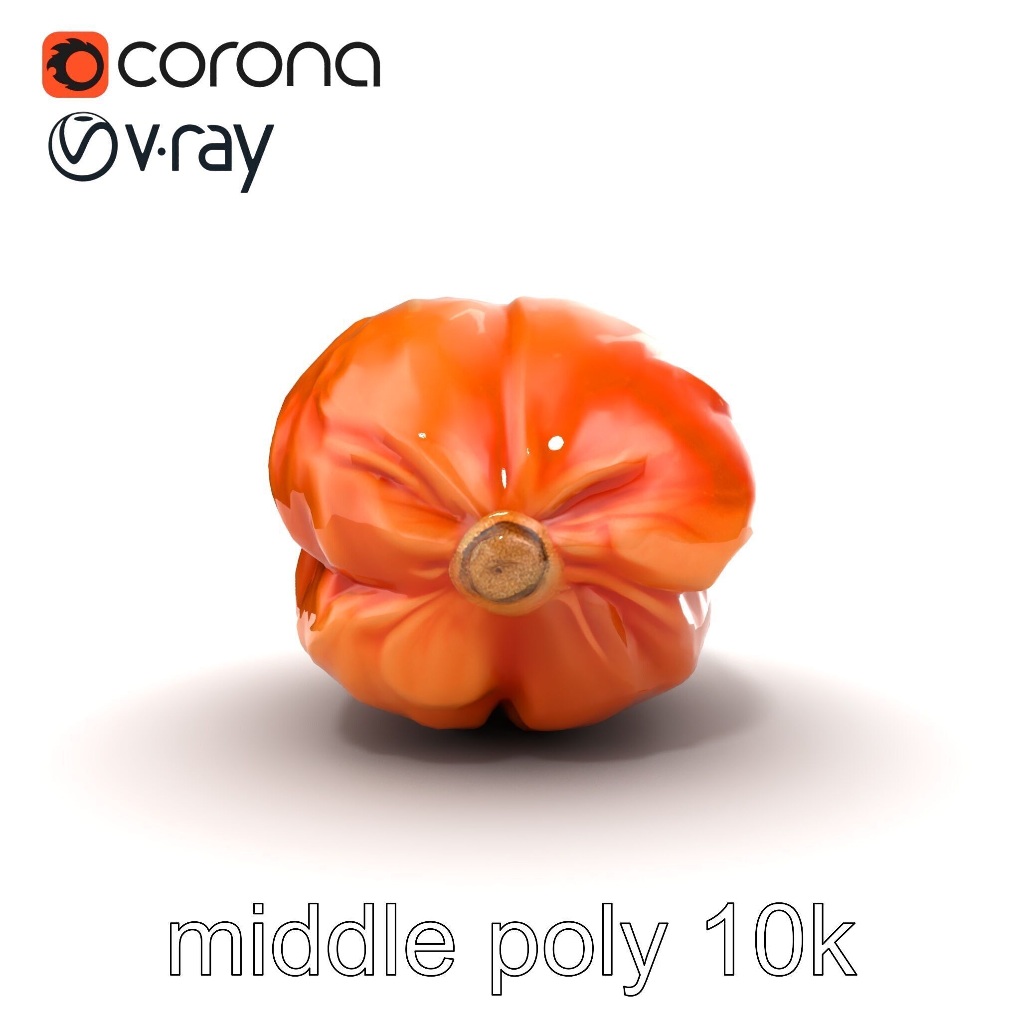 Dried Date Fruit Detailed Model Pack Low-poly 3D model_25