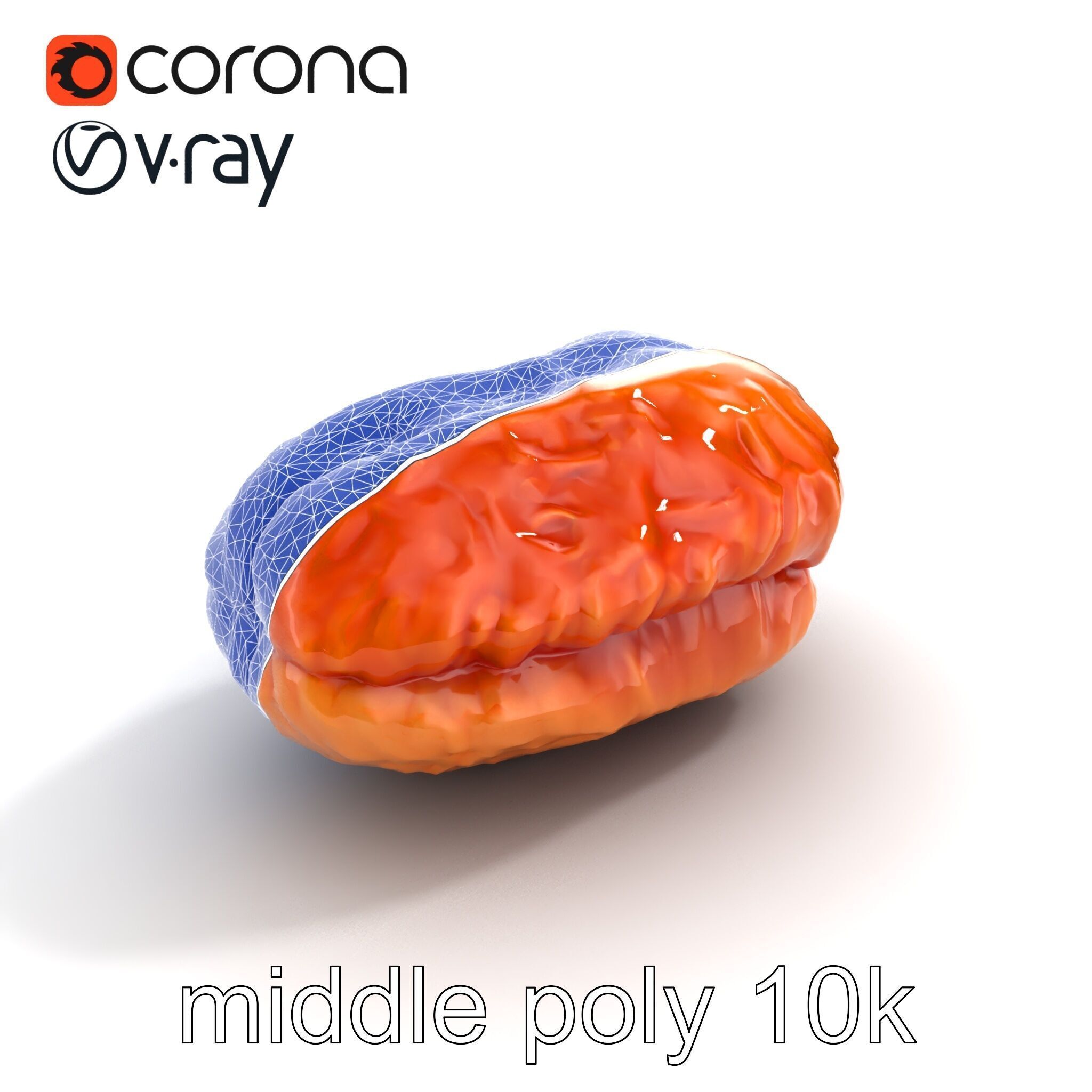 Dried Date Fruit Detailed Model Pack Low-poly 3D model_11