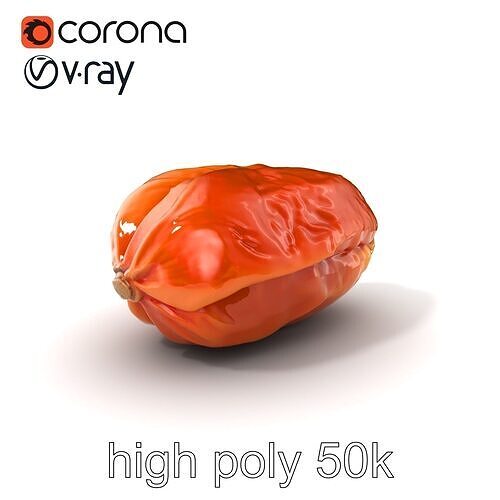 Dried Date Fruit Detailed Model Pack Low-poly 3D model 2