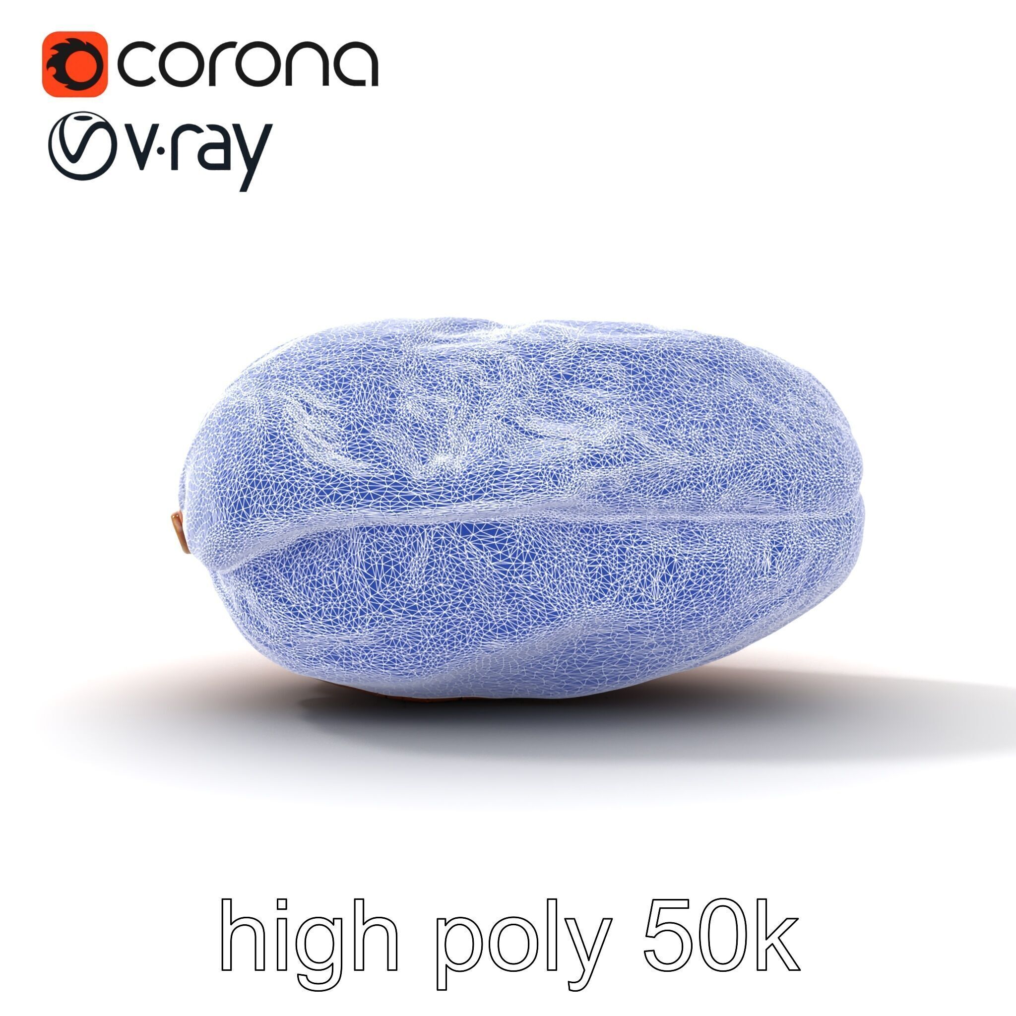 Dried Date Fruit Detailed Model Pack Low-poly 3D model_19