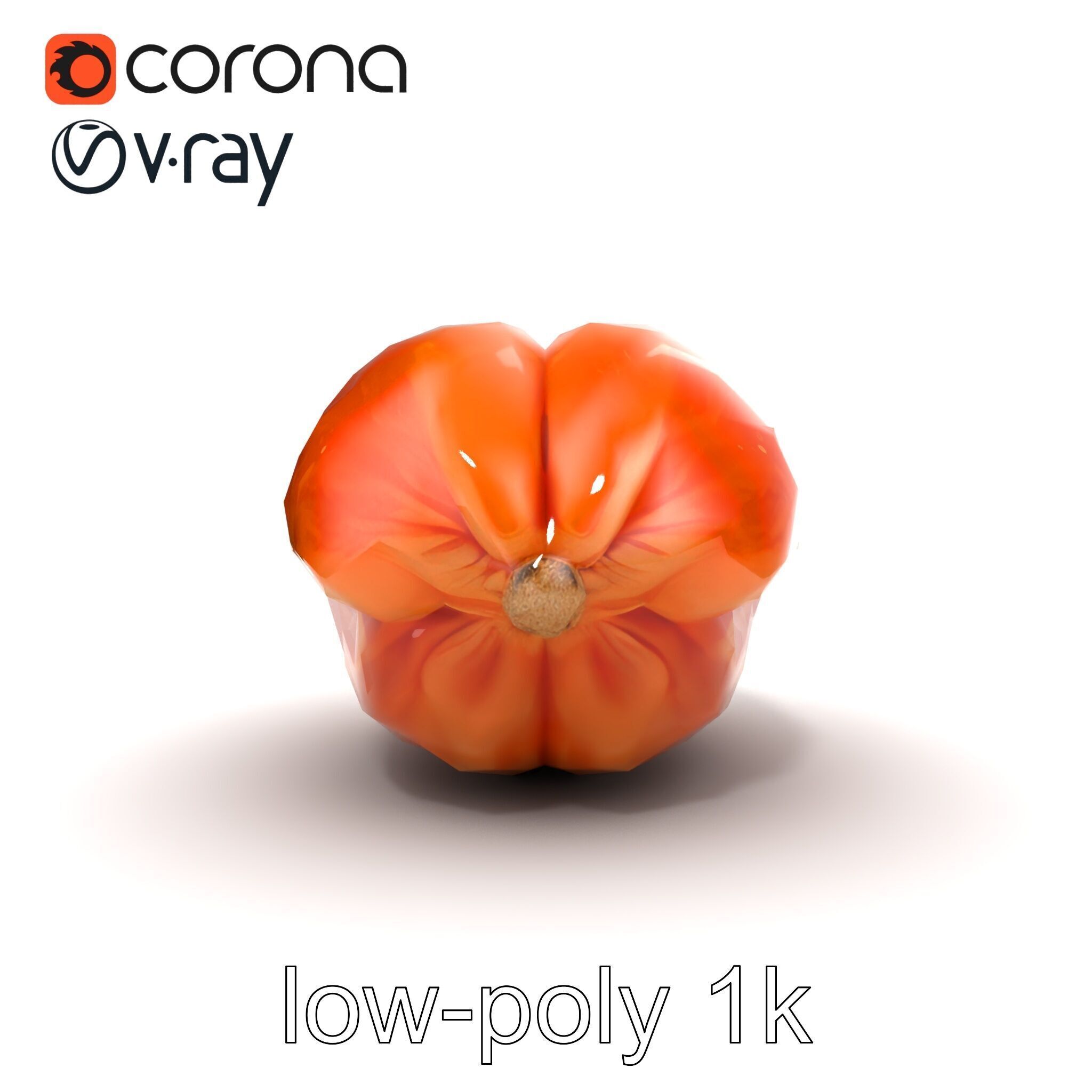 Dried Date Fruit Detailed Model Pack Low-poly 3D model_16