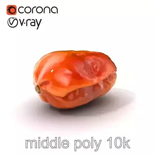 Dried Date Fruit Detailed Model Pack