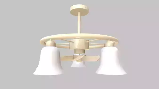 Ceiling Fan with Lights