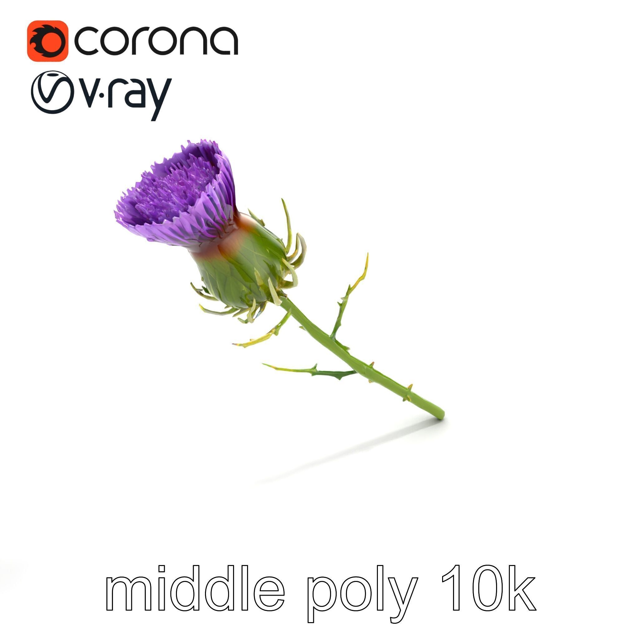 Thistle Flower Intricate Detail model pack Low-poly 3D model_8