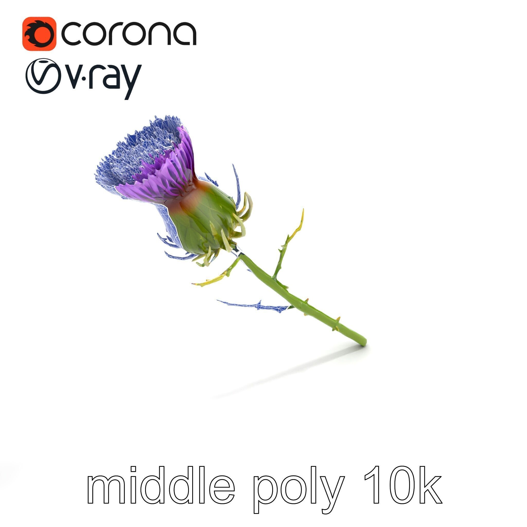 Thistle Flower Intricate Detail model pack Low-poly 3D model_11