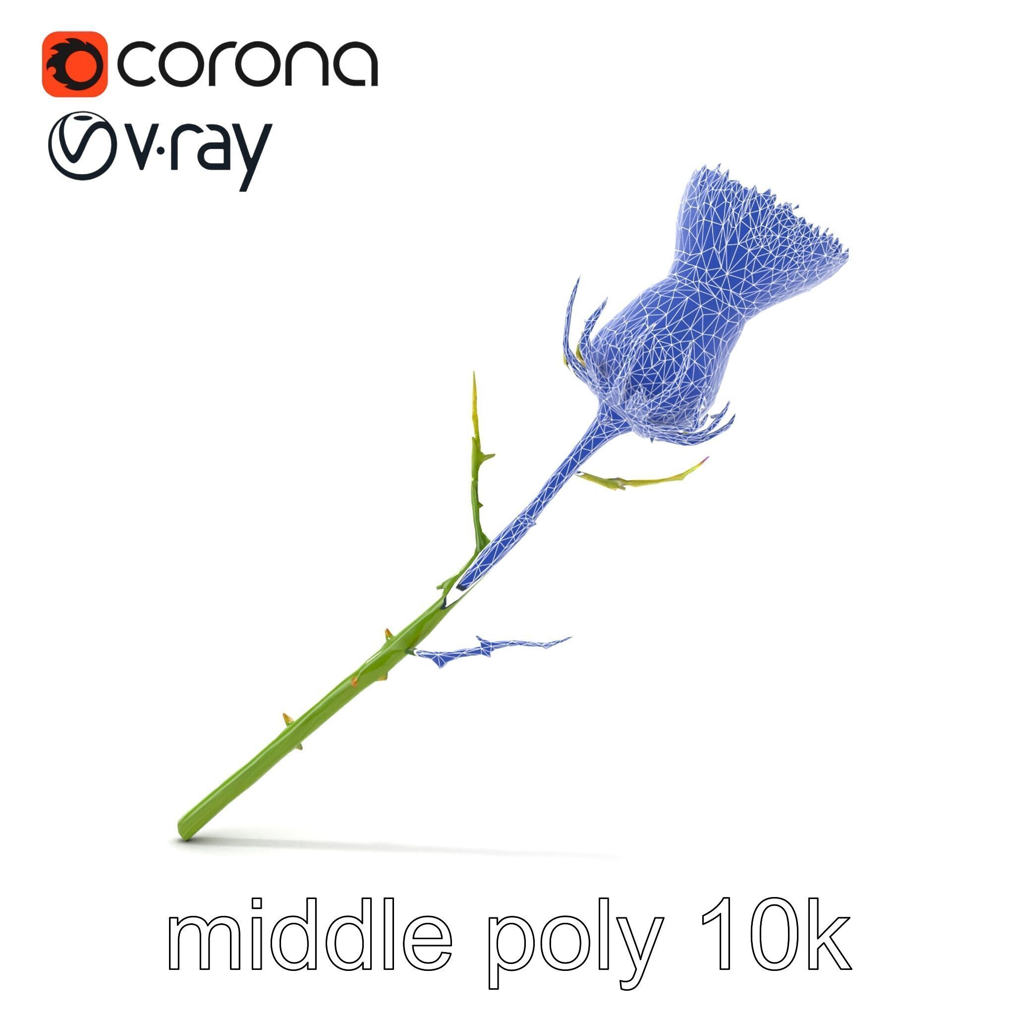 Thistle Flower Intricate Detail model pack Low-poly 3D model_30