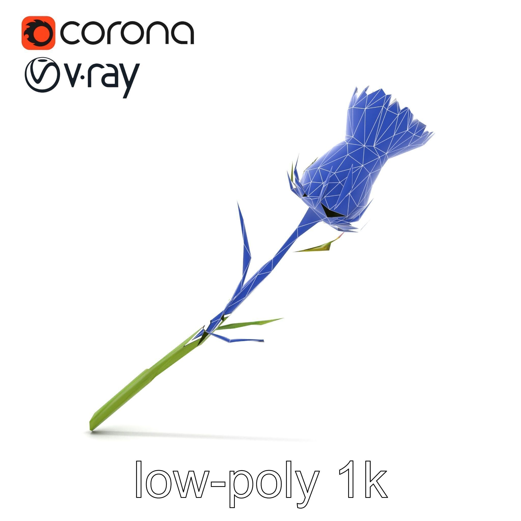 Thistle Flower Intricate Detail model pack Low-poly 3D model_22