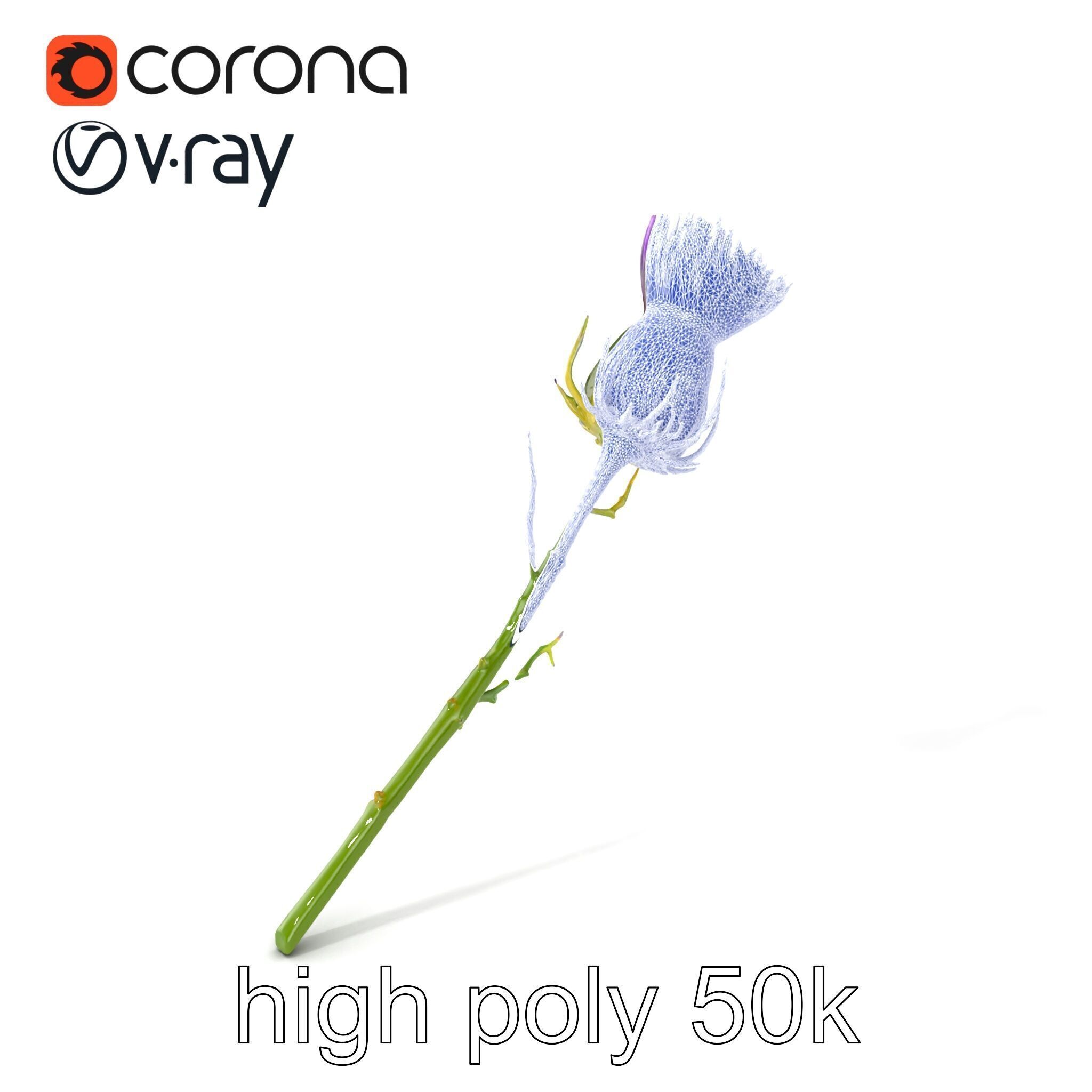 Thistle Flower Intricate Detail model pack Low-poly 3D model_10