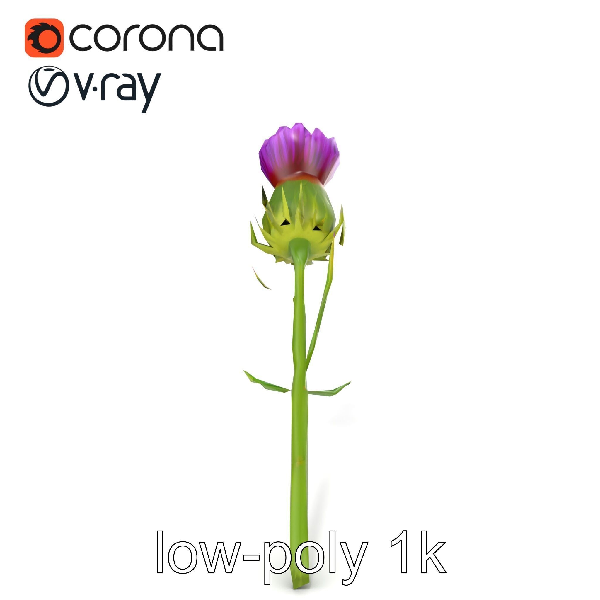 Thistle Flower Intricate Detail model pack Low-poly 3D model_28