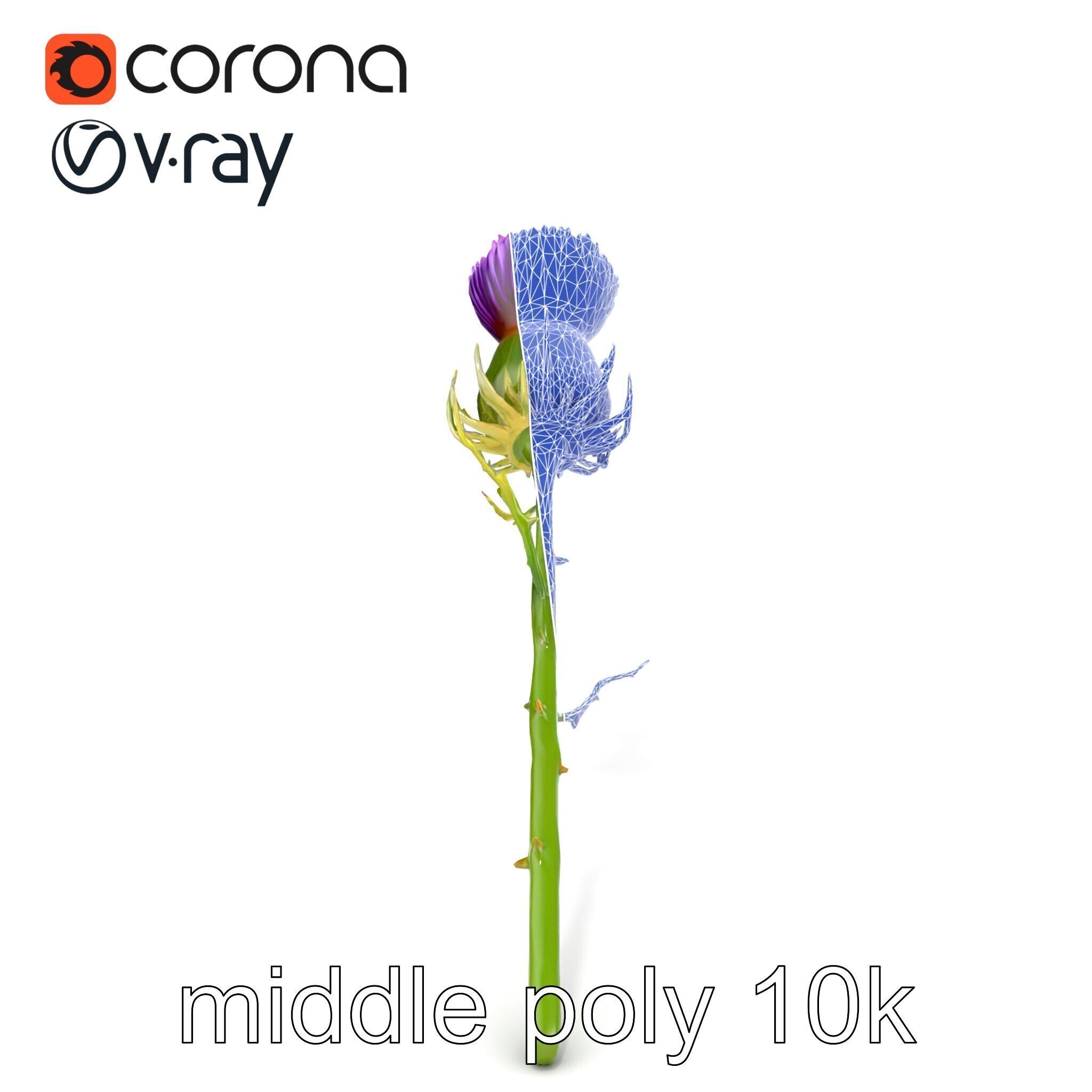Thistle Flower Intricate Detail model pack Low-poly 3D model_32