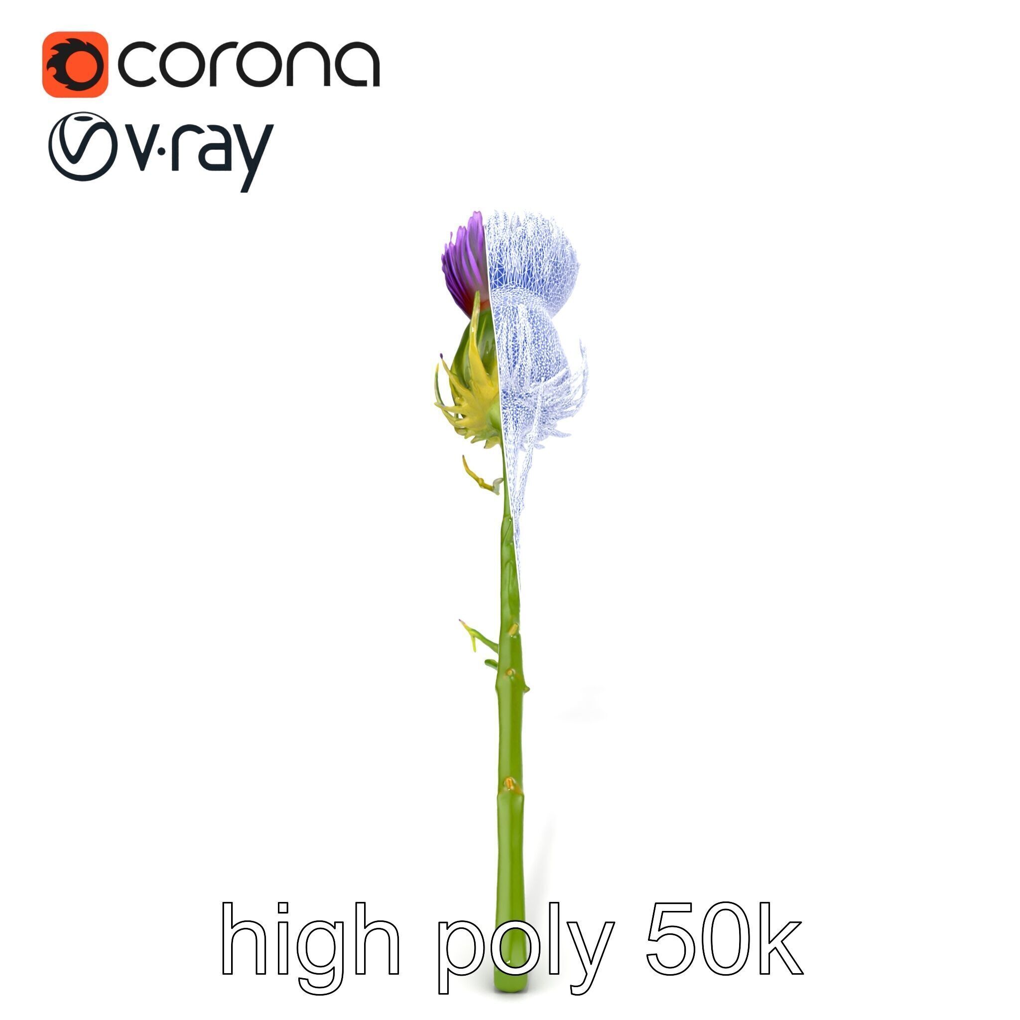 Thistle Flower Intricate Detail model pack Low-poly 3D model_24