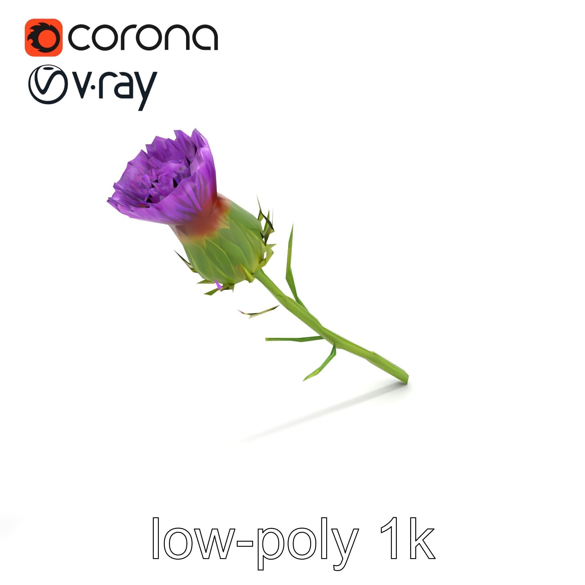 Thistle Flower Intricate Detail model pack Low-poly 3D model_9