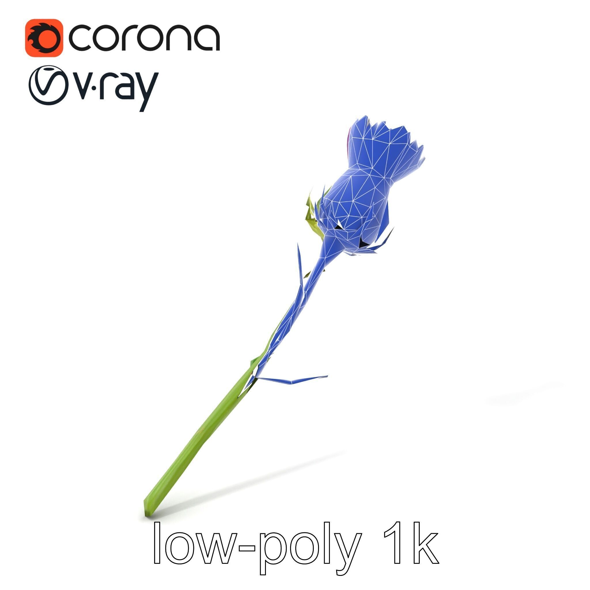 Thistle Flower Intricate Detail model pack Low-poly 3D model_7