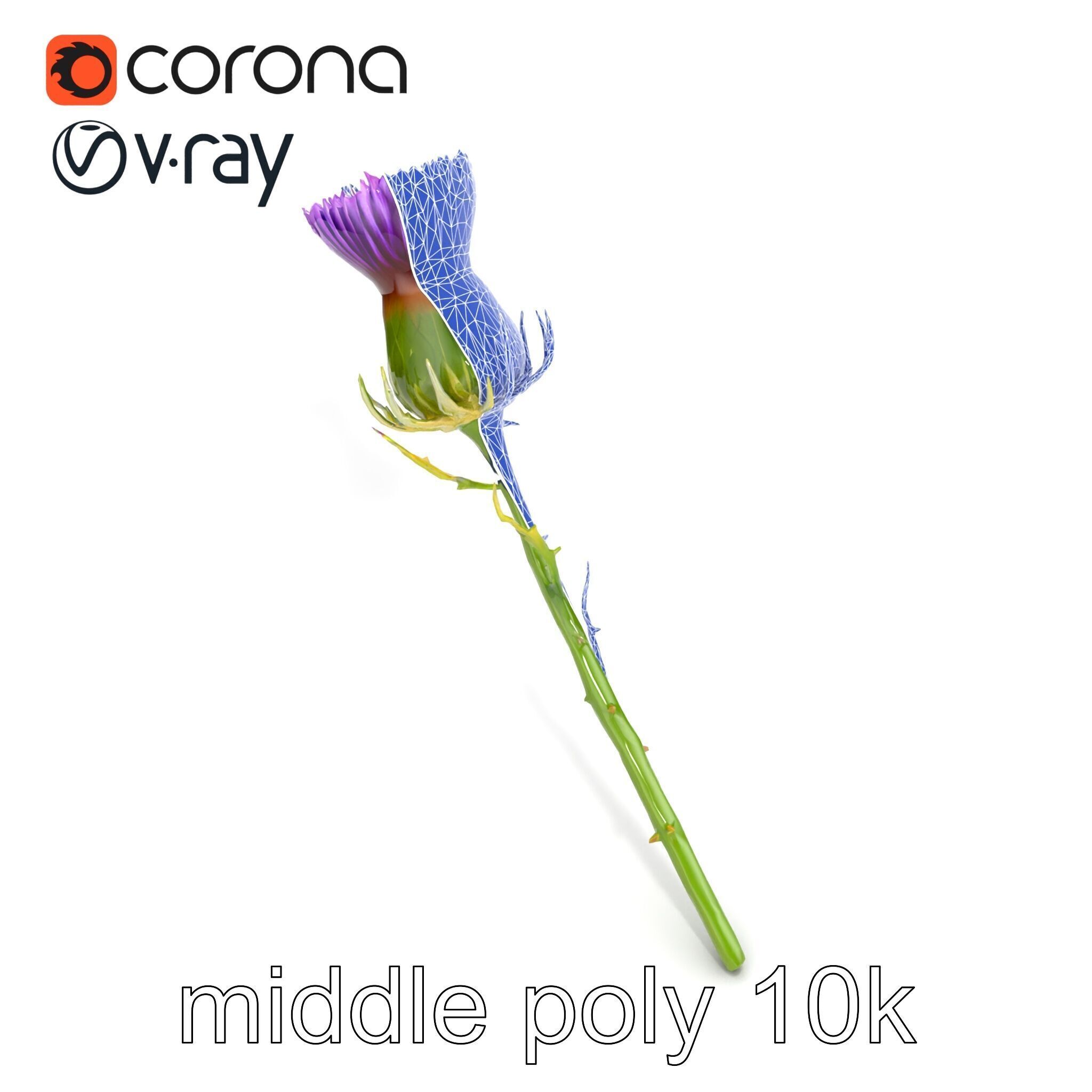 Thistle Flower Intricate Detail model pack Low-poly 3D model_31