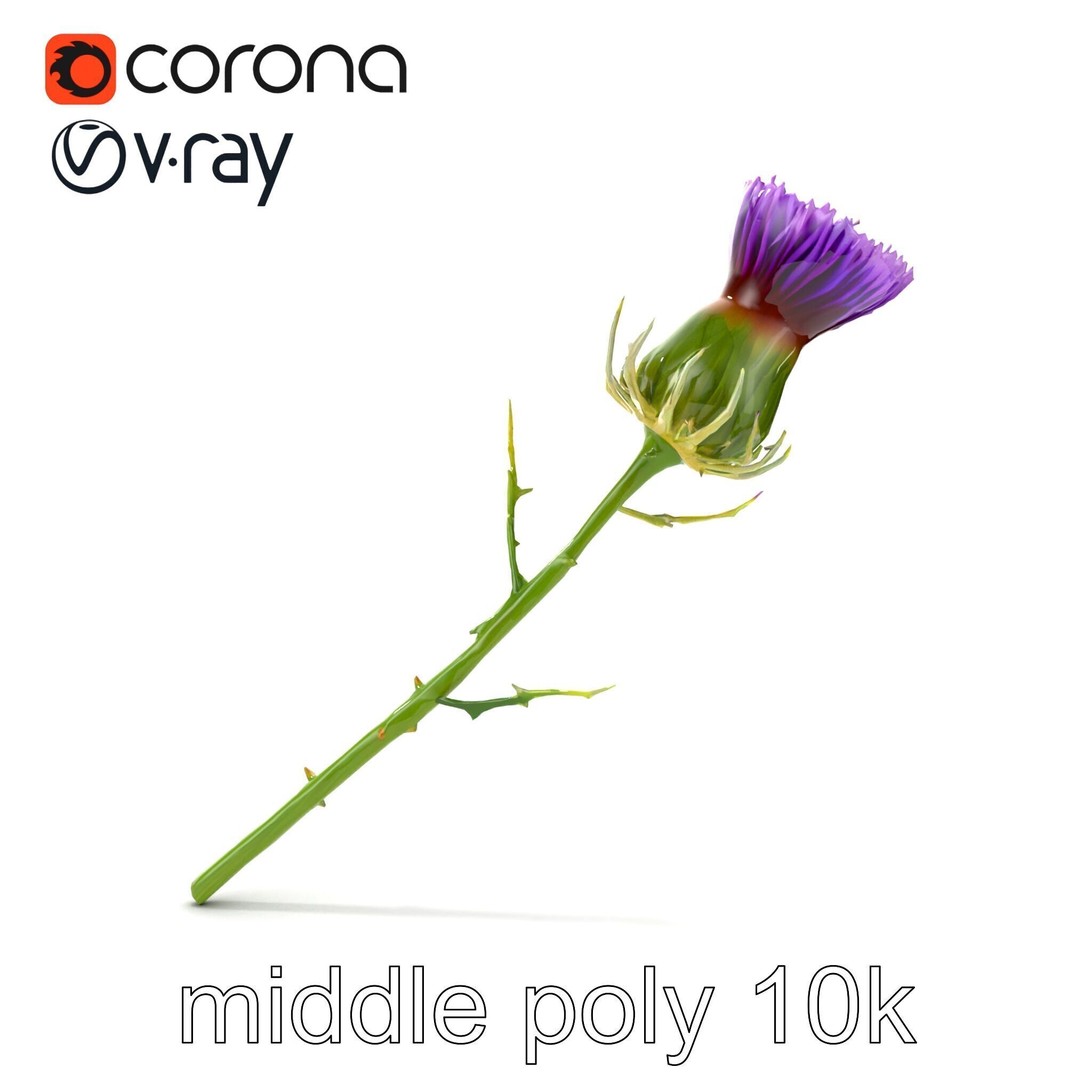 Thistle Flower Intricate Detail model pack Low-poly 3D model_13