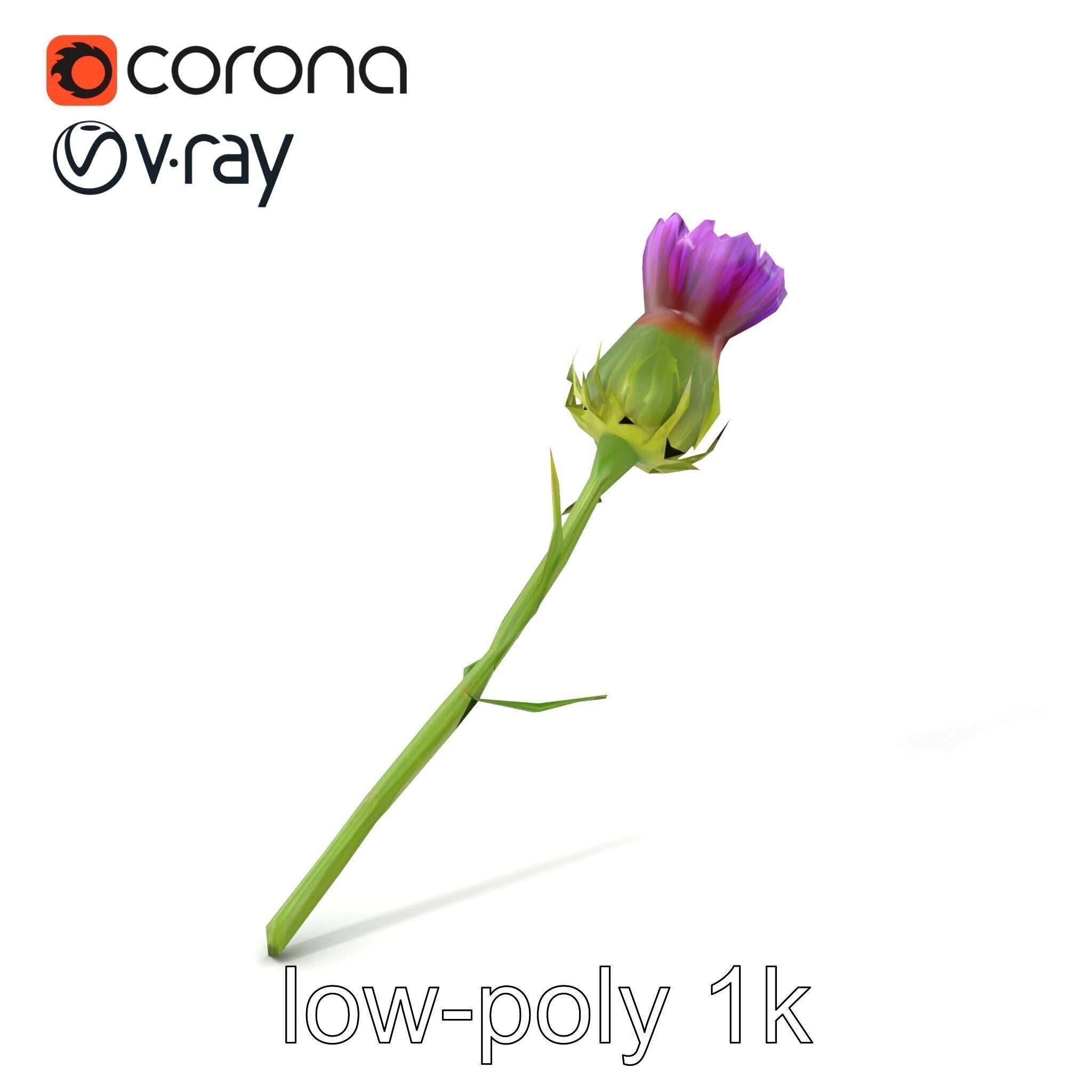 Thistle Flower Intricate Detail model pack Low-poly 3D model_5