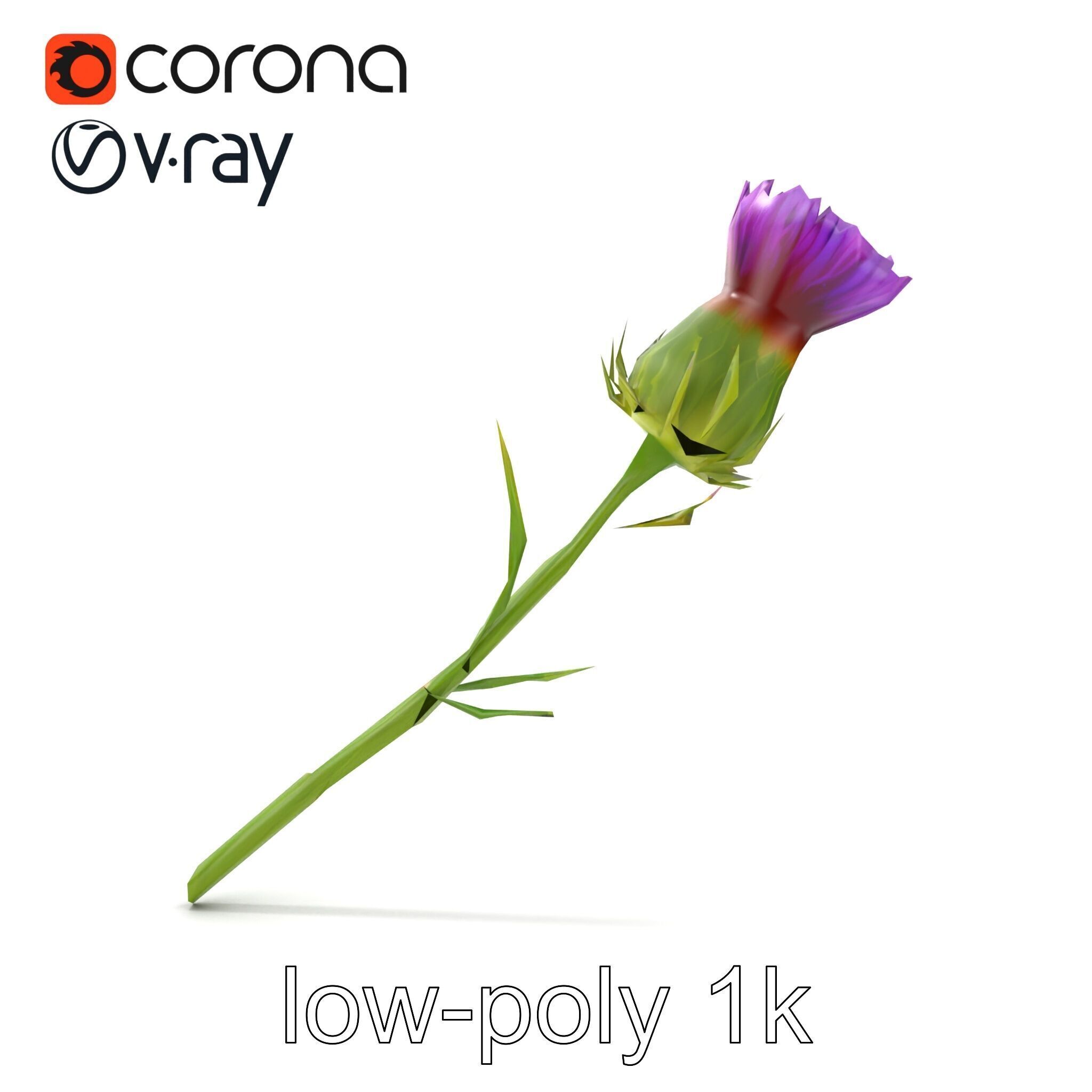 Thistle Flower Intricate Detail model pack Low-poly 3D model_29