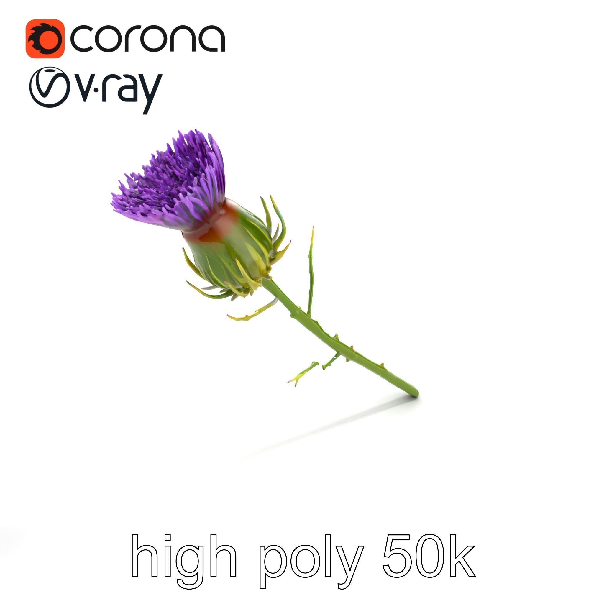 Thistle Flower Intricate Detail model pack Low-poly 3D model_23