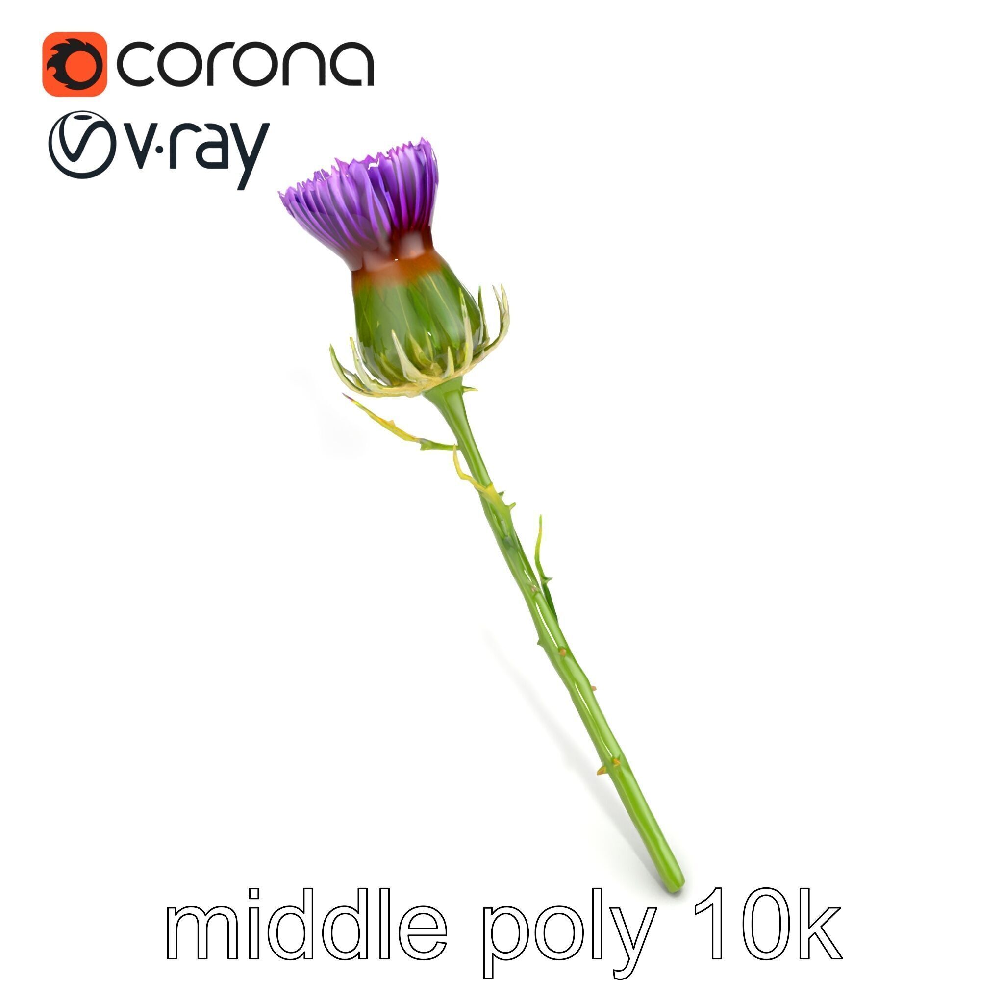 Thistle Flower Intricate Detail model pack Low-poly 3D model_26