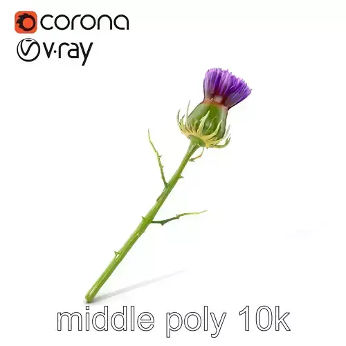 Thistle Flower Intricate Detail model pack Low-poly 3D model