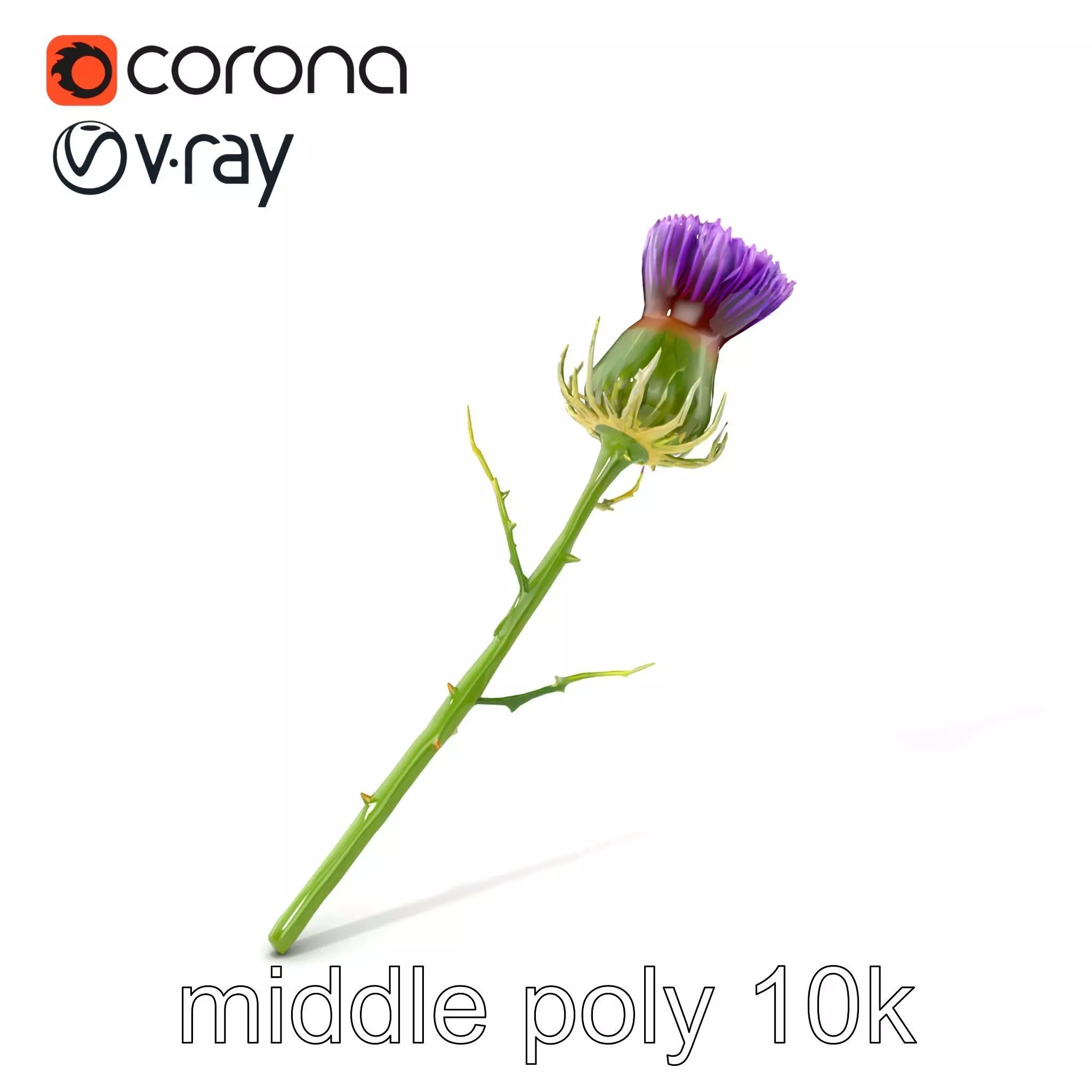 Thistle Flower Intricate Detail model pack Low-poly 3D model_0