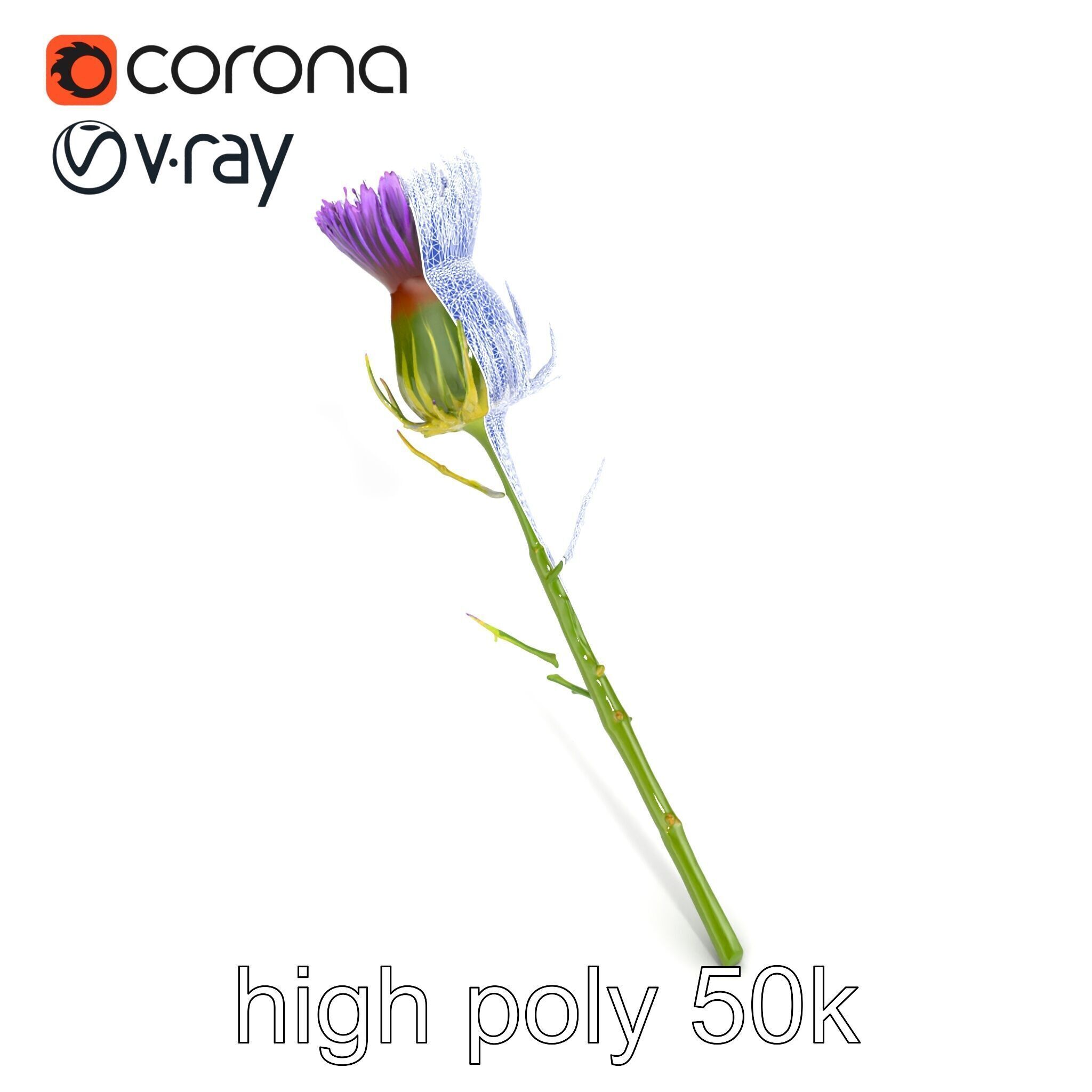 Thistle Flower Intricate Detail model pack Low-poly 3D model_17
