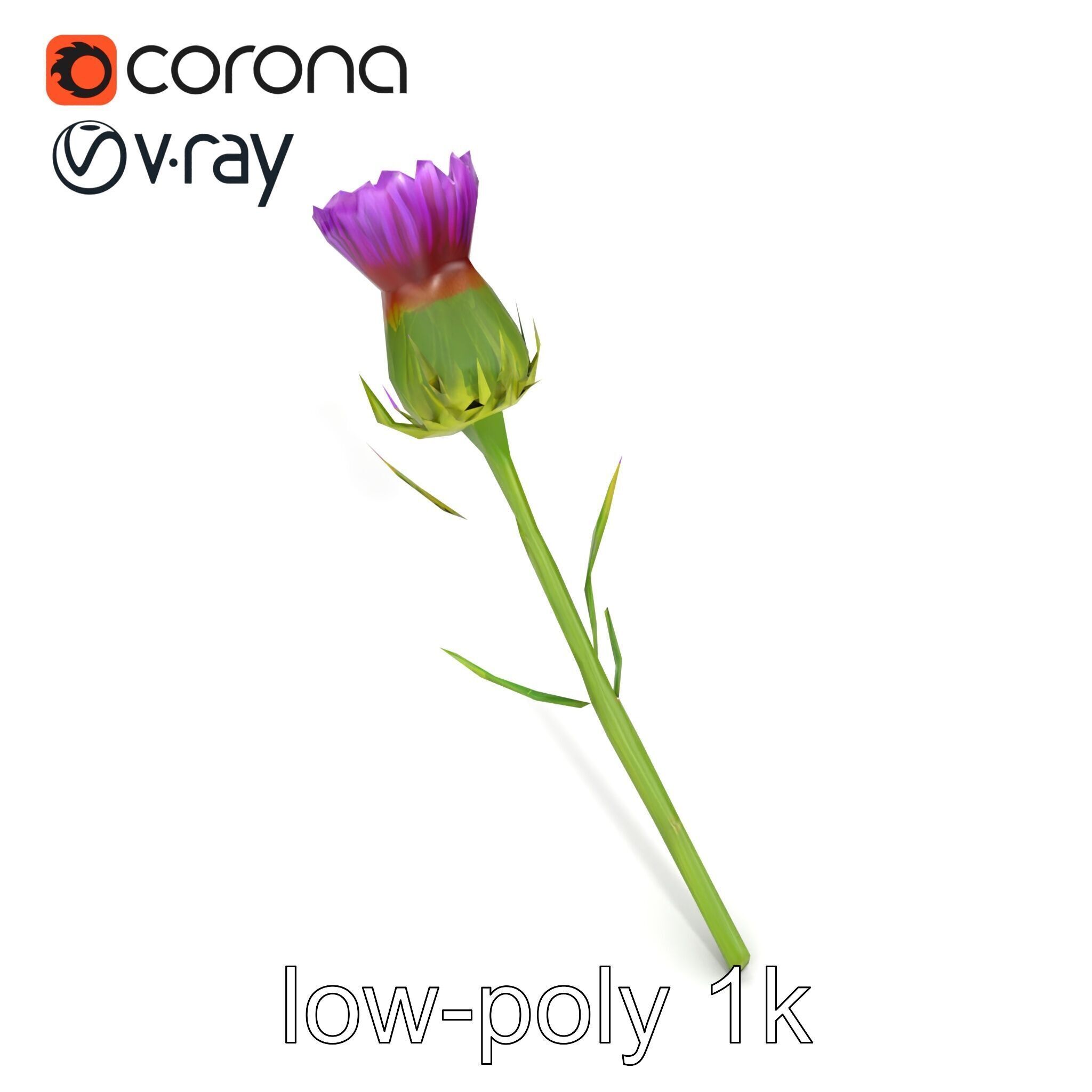 Thistle Flower Intricate Detail model pack Low-poly 3D model_14