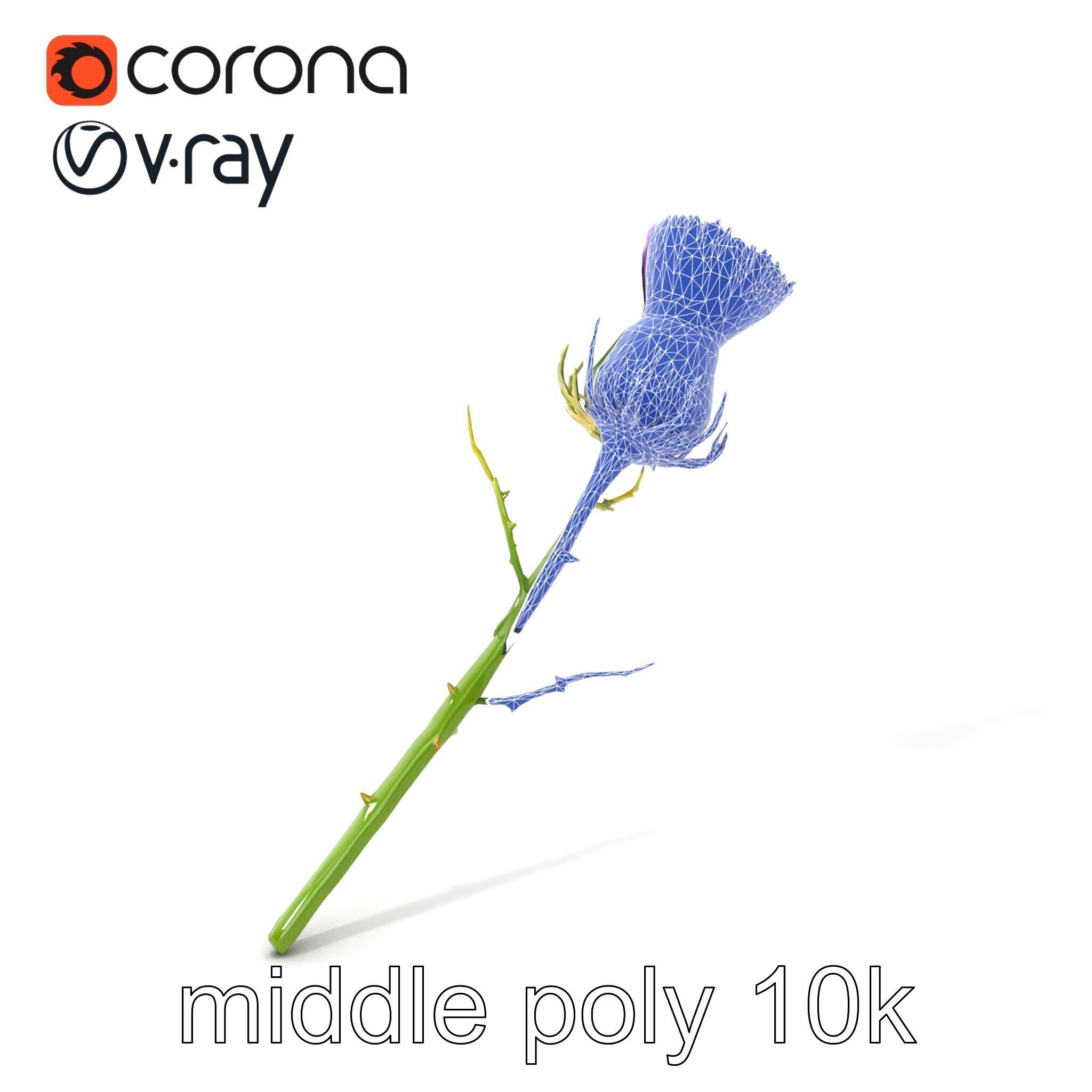 Thistle Flower Intricate Detail model pack Low-poly 3D model_6