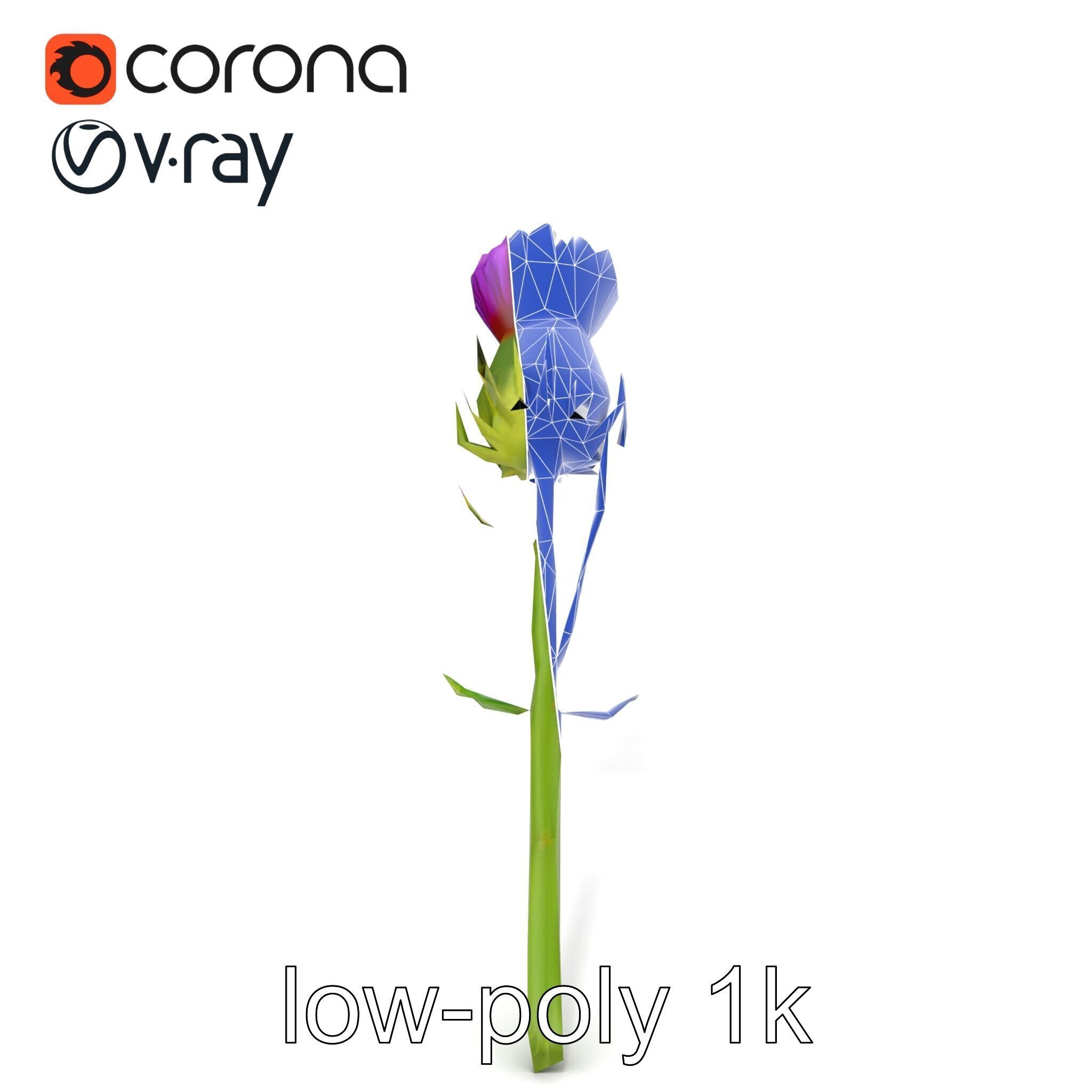 Thistle Flower Intricate Detail model pack Low-poly 3D model_27