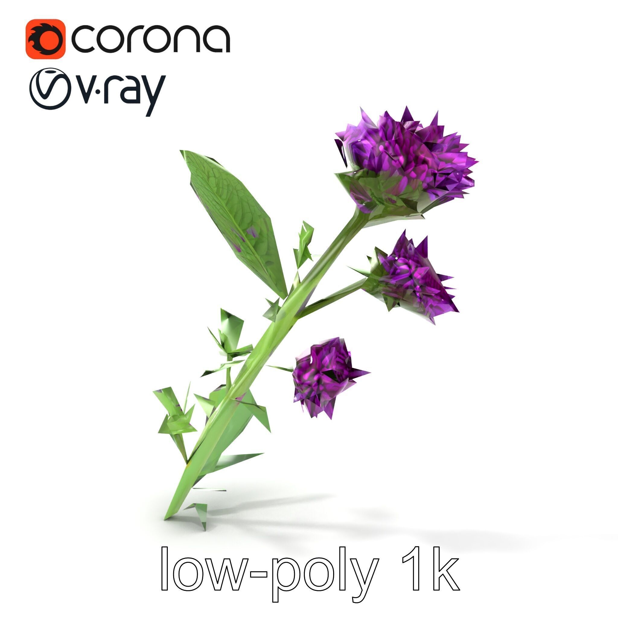 Cirsium Vulgare Flower model pack with Spiny Leaves Low-poly 3D model_32