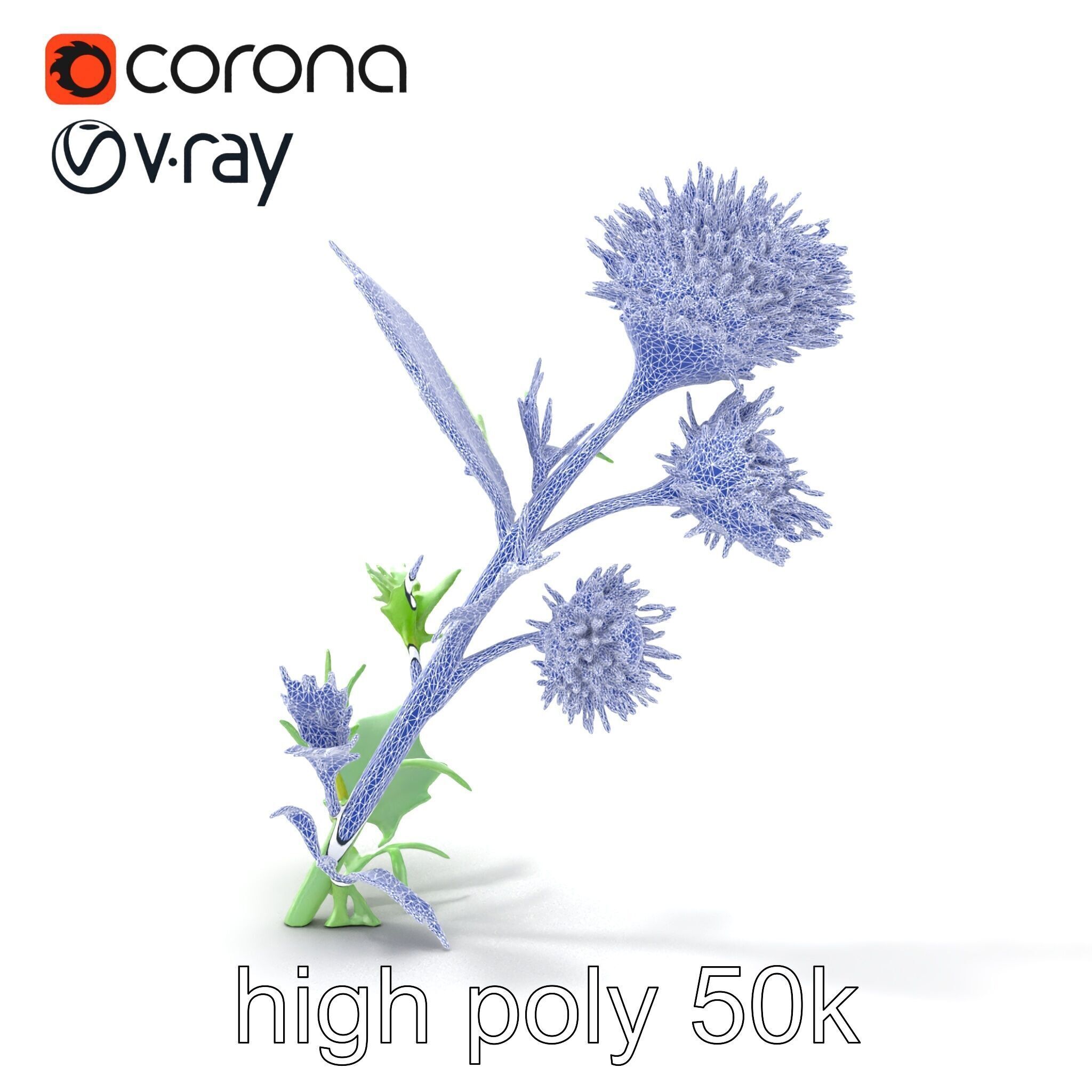 Cirsium Vulgare Flower model pack with Spiny Leaves Low-poly 3D model_30
