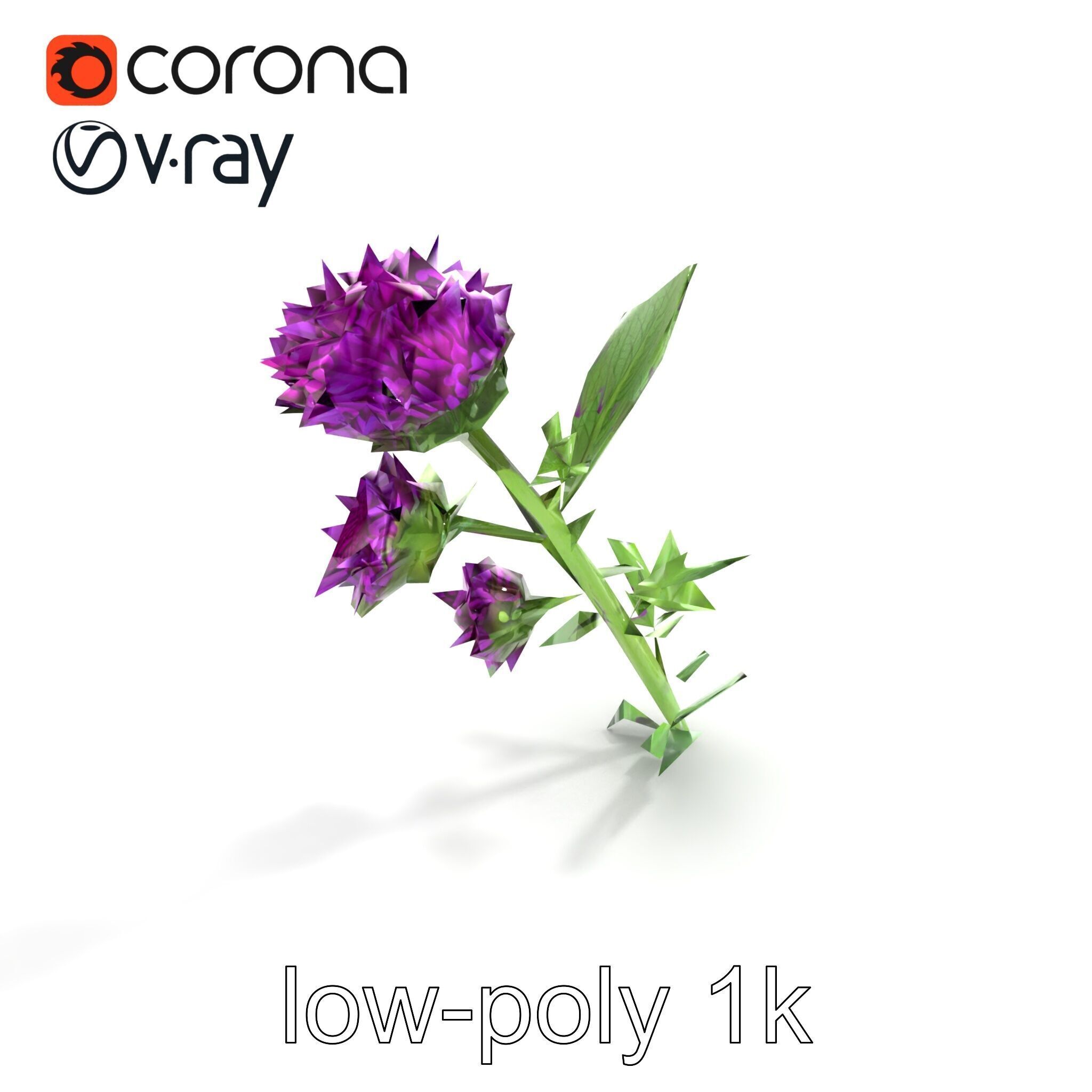 Cirsium Vulgare Flower model pack with Spiny Leaves Low-poly 3D model_9
