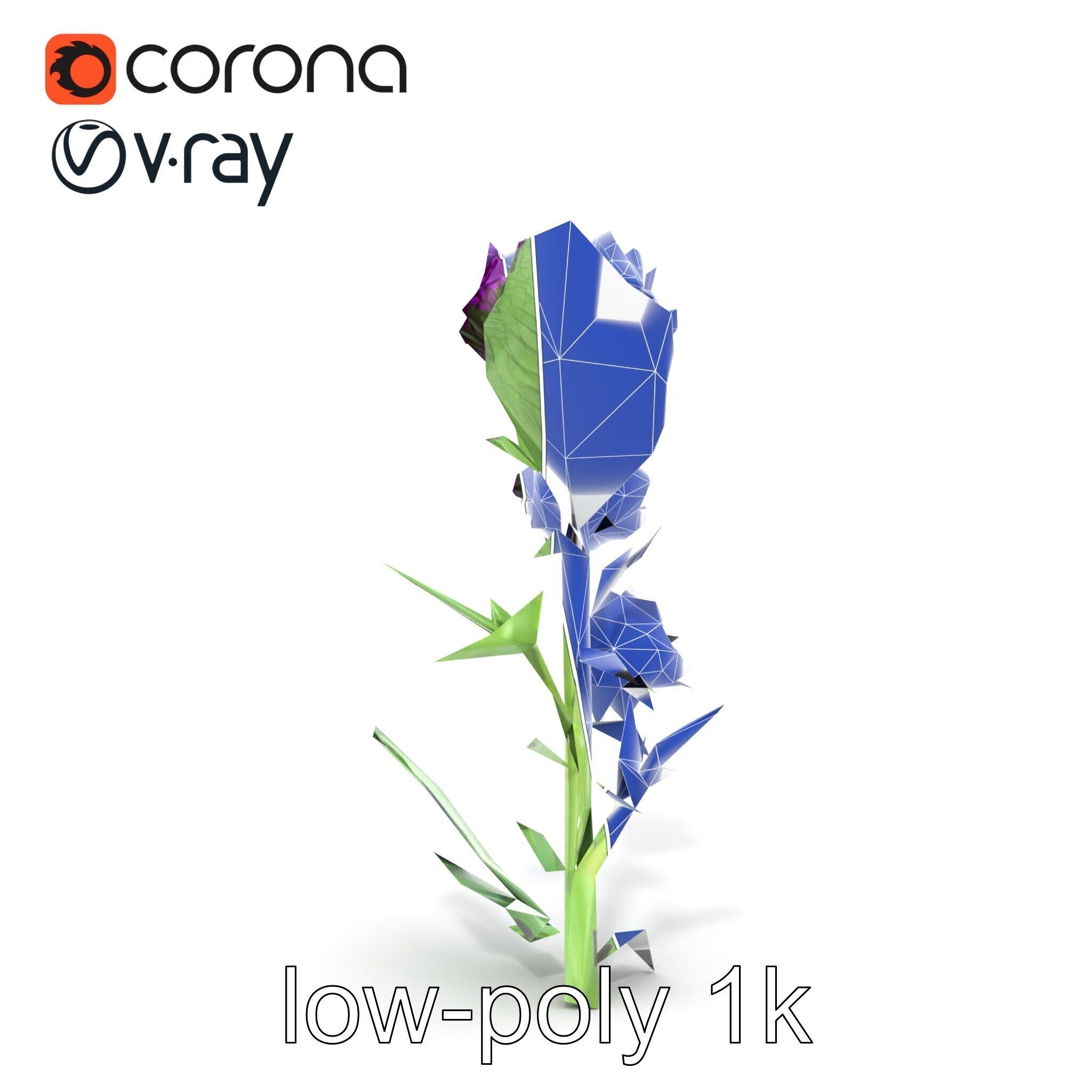 Cirsium Vulgare Flower model pack with Spiny Leaves Low-poly 3D model_28