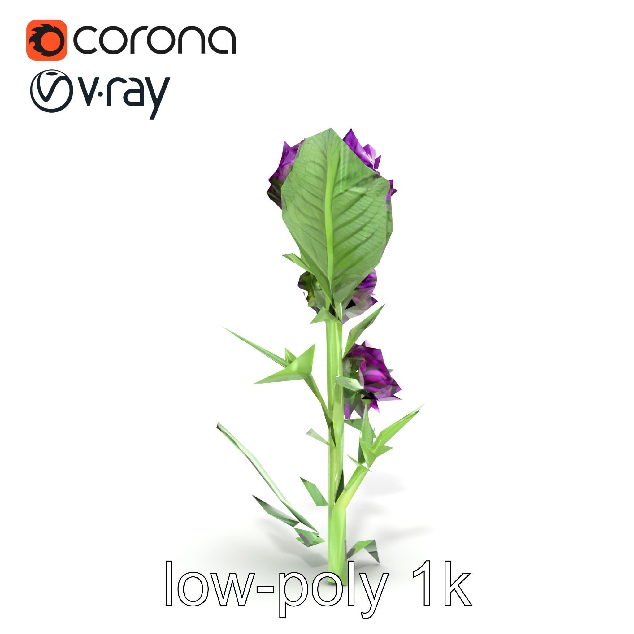 Cirsium Vulgare Flower model pack with Spiny Leaves Low-poly 3D model_18