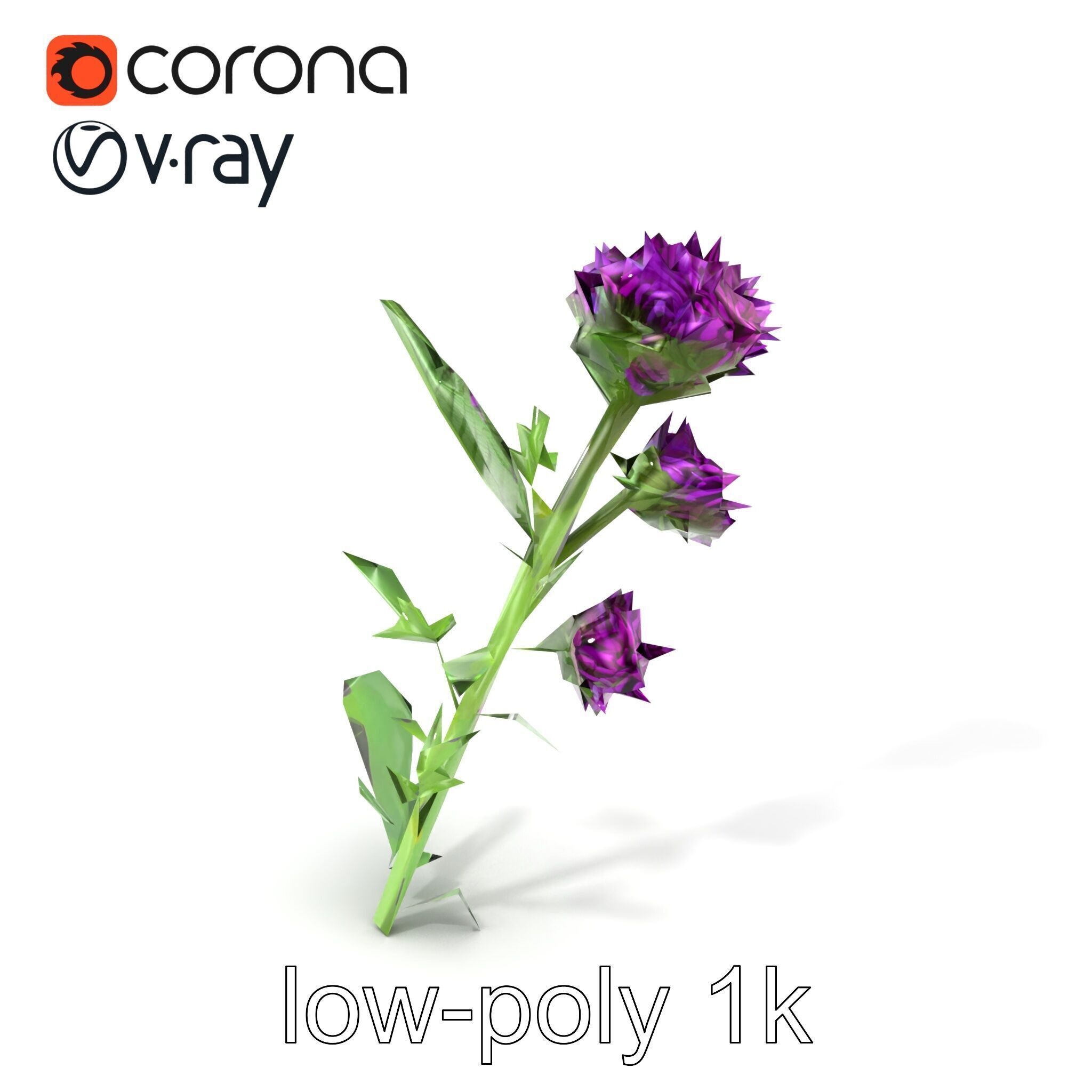 Cirsium Vulgare Flower model pack with Spiny Leaves Low-poly 3D model_5